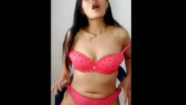 Hot Punjabi Bhabhi looking stunning in pink bra and panty